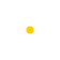 Edelweiss Design